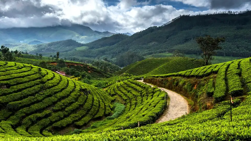 Munnar